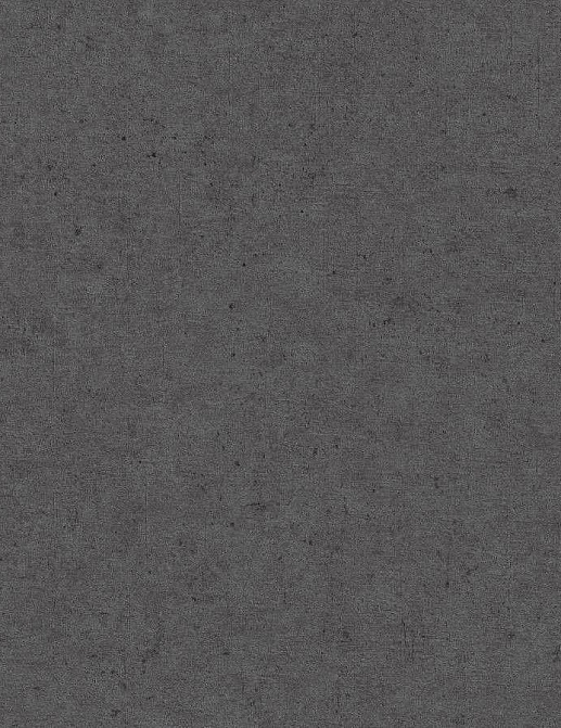 Обои Rasch Concrete 520927