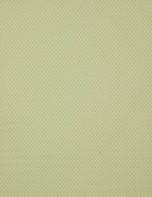 Ткань Manuel Canovas Malfa 04891/05