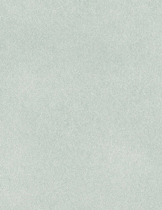 Обои Rasch Fiesta 973037