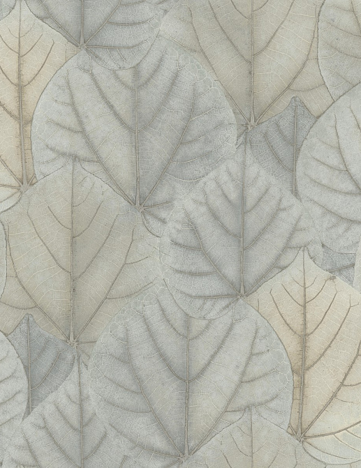 Обои York Modern Nature II (Candice Olson) OS4244