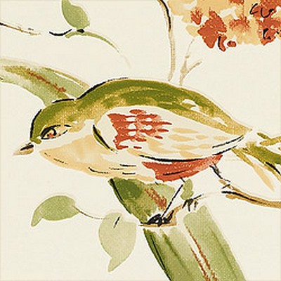 Обои Thibaut Waterlily T1159