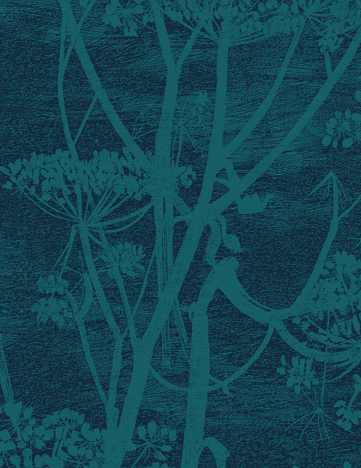 Ткань Cole & Son The Contemporary Collection F111/5015