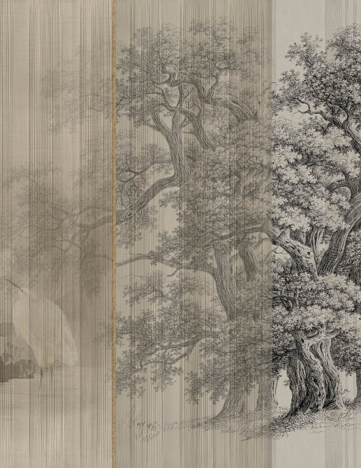 Обои Glamora Creative Wallcovering GLX461A