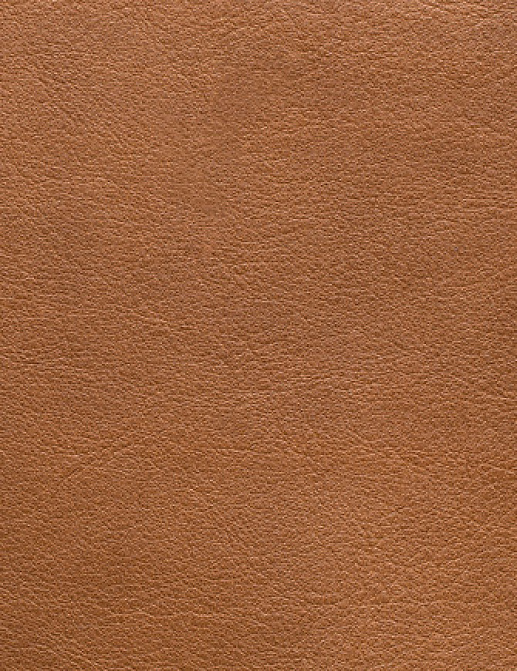 Ткань Holly Hunt Holly Hunt Leather 9376/16