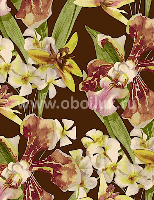 Обои Living Style Peony PN21307