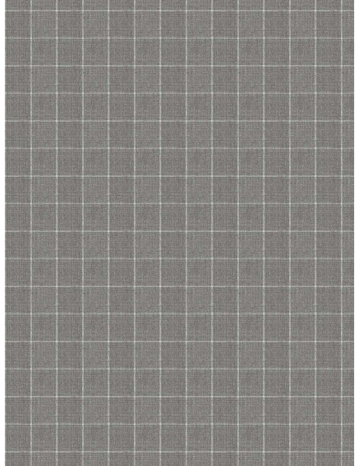 Ткань Fabricut Checks&Stripes Avalon Lane SweetGrass/Pewter