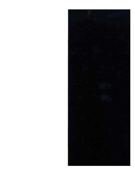 Обои Caselio Black & White BTW61040092
