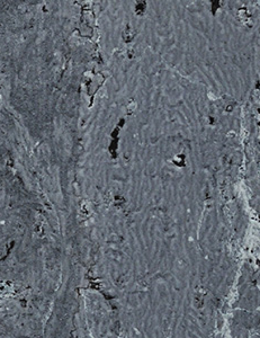 Обои Innovations Collection Marbled Cork MCO-10 AZUL