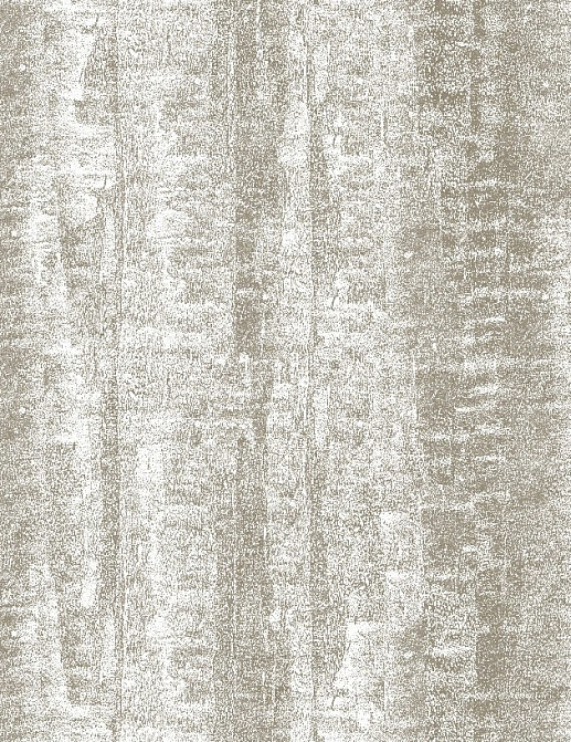 Обои KT-Exclusive Animalier AN114
