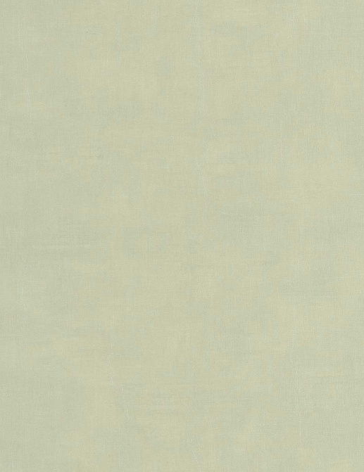 Обои Casadeco Etamine ETAM200257227