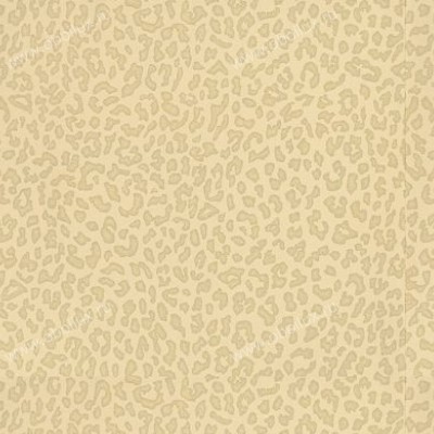 Обои Zoffany Trade Routes TRA01006