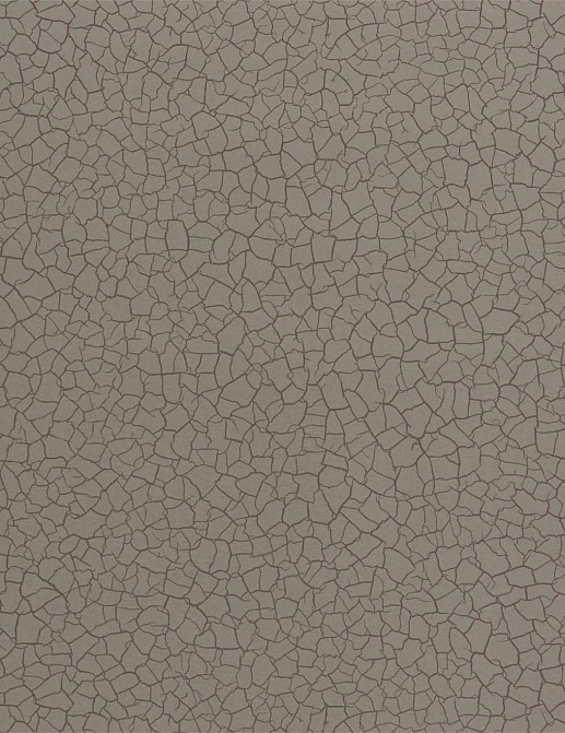 Обои Zoffany Oblique 312834
