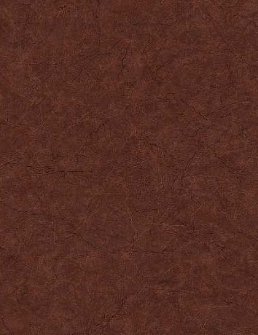 Обои Carl Robinson Edition 17 - Loft CR86201