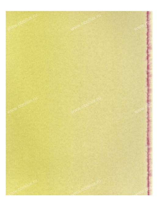 Обои Zoffany Town and Country 310843