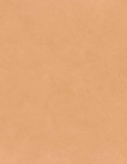 Обои Casamance La Chaux B75495814