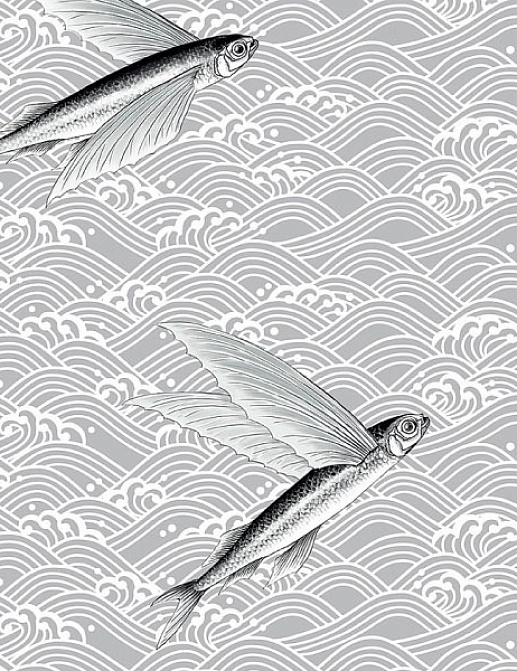 Ткань Flying Fish Interior Textiles C-2-L