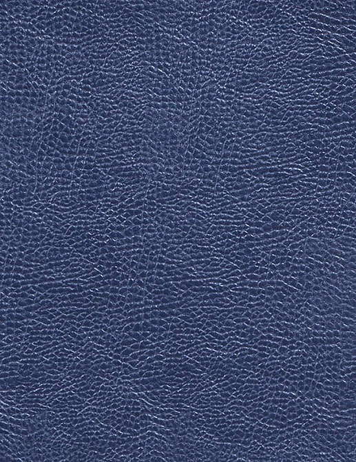 Ткань Designers Guild Kalahari FDG2167/11