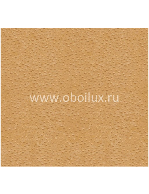 Обои York Ronald Redding - Designer Backgrounds II RB8960