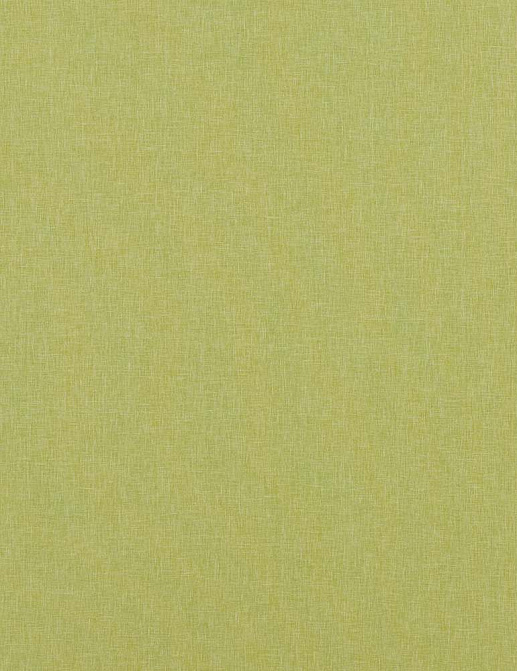 Ткань Baker Lifestyle Notebook Carnival Plain PF50420/755
