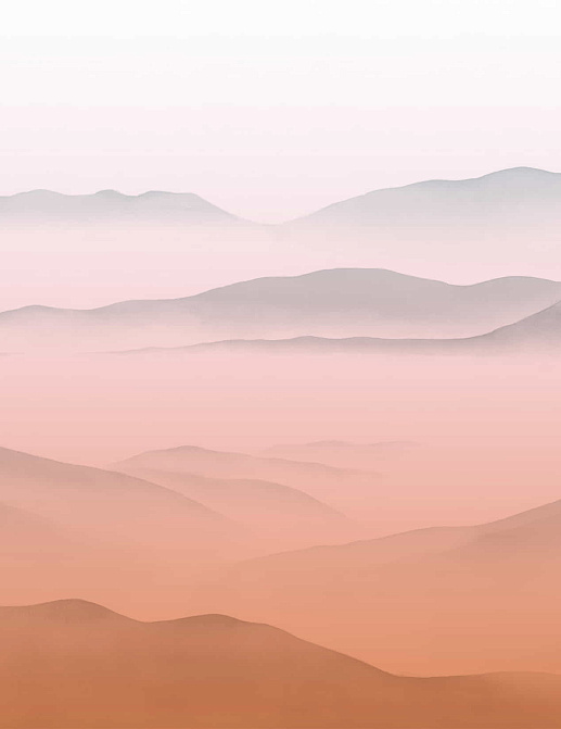 Обои Yana Svetlova Wallcoverings Art Prints A25-SEPIA