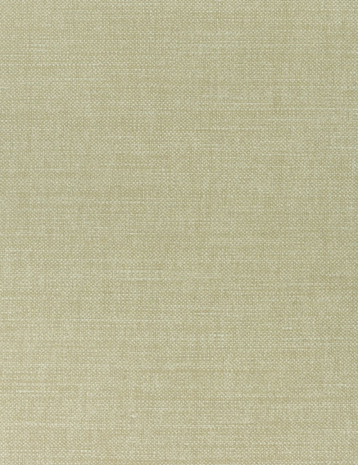 Ткань Thibaut Woven Resource 12 Prisma W70107