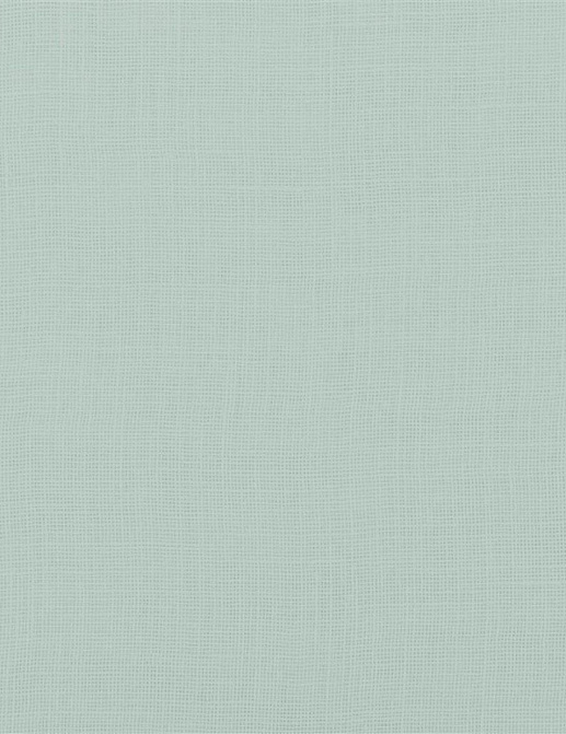 Ткань Designers Guild Shiwa FDG3060/08