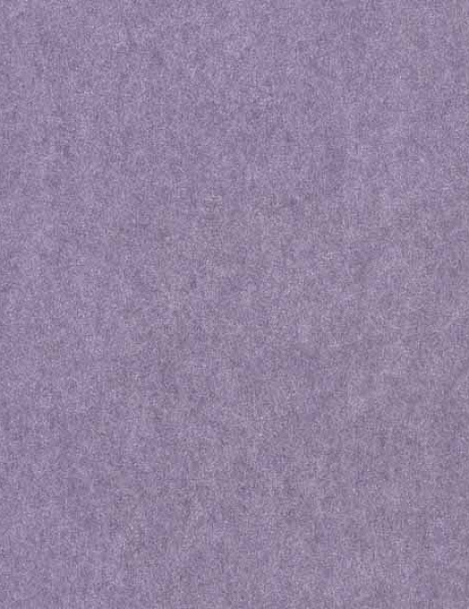 Обои Casadeco Yellowstone YST24965510