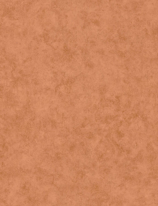 Обои Caselio Beton 2 BTO101483434