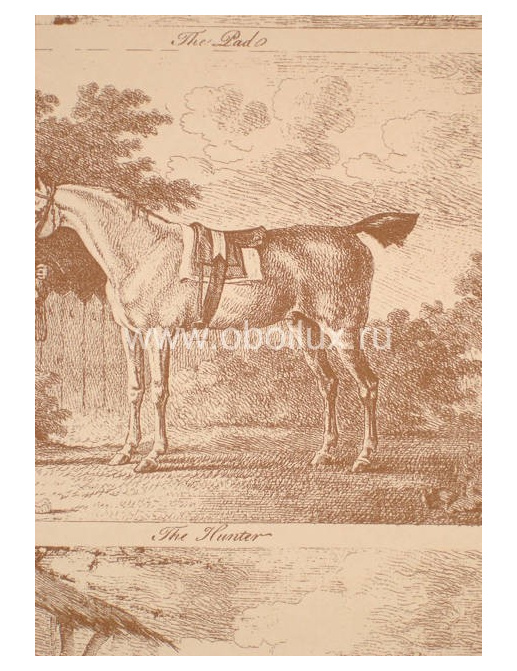 Обои Lewis & Wood Book I - Sporting & Character LW9593/Gilpin Horses Tan