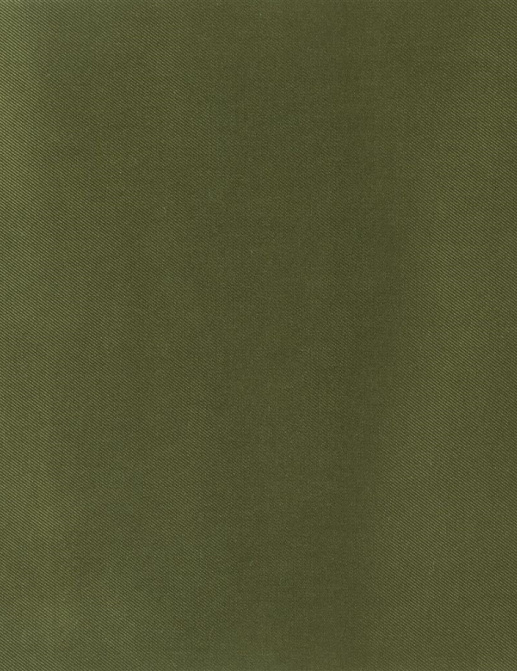 Ткань Designers Guild Satinato F1505/11