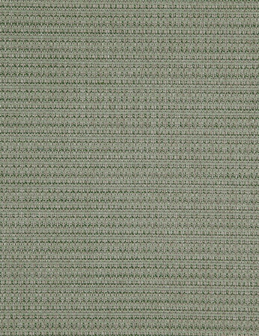 Ткань Designers Guild Birkett FDG2793/01