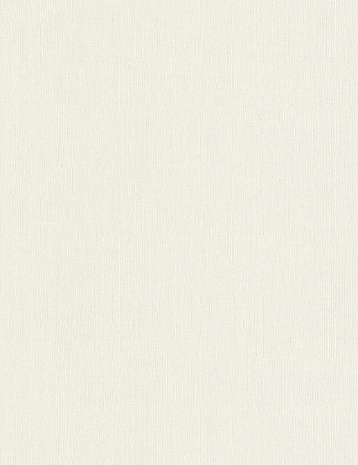 Обои Rasch Wall Textures XL Vol3 975512
