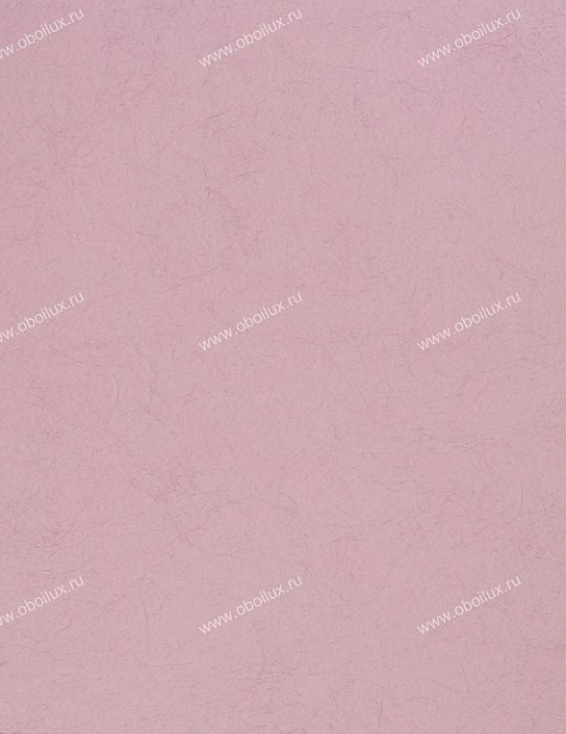 Обои Designers Guild Tsuga P502/42