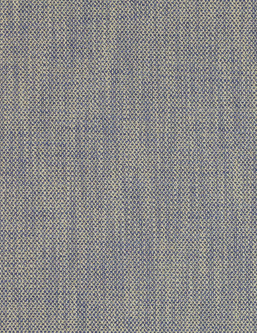 Ткань Manuel Canovas Sarla 04929/09
