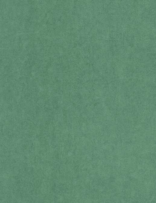 Обои Casadeco Cotton Touch COTO82387647