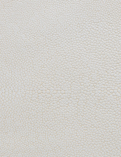 Ткань Holly Hunt Holly Hunt Leather 6000/69