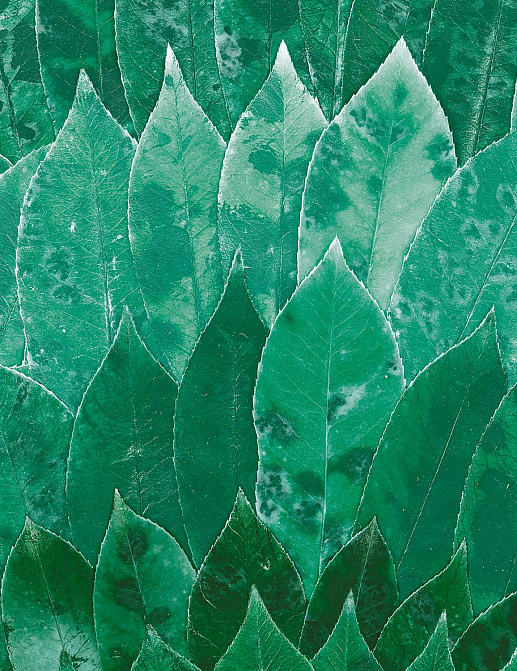 Панно и фотообои Casamance Oxymore 3 77832219
