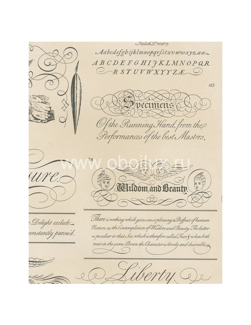 Обои Lewis & Wood Book I - Sporting & Character LW7764/Calligraphy Medium Black