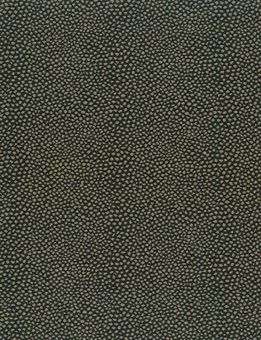 Ткань Thevenon Beluga/Nuage 2182717