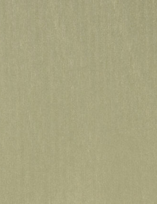 Ткань Designers Guild Brenan F1632/19