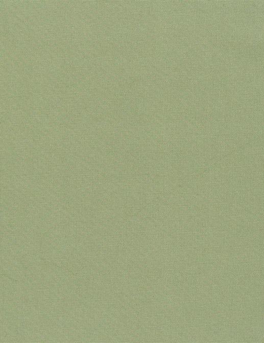 Ткань Designers Guild Aquarelle FDG2196/24