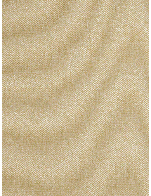 Ткань Trend Drapery dim out library 02890/Straw