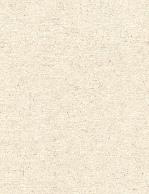 Обои Rasch Wall Textures XL Vol3 974218