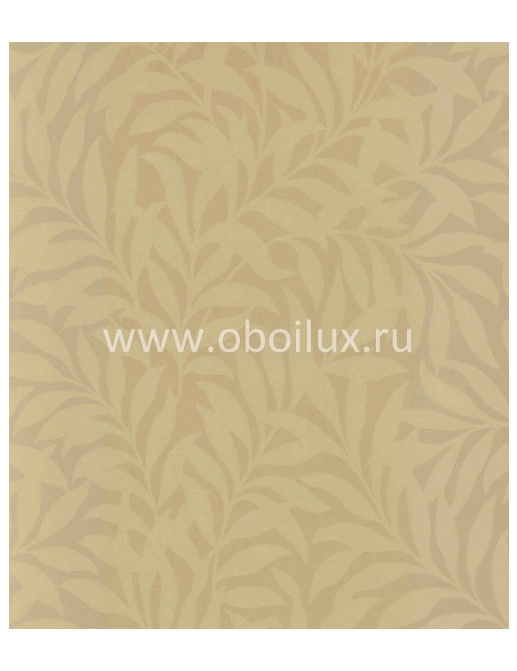 Обои York Ashford House - Flowers S.E. DL0706
