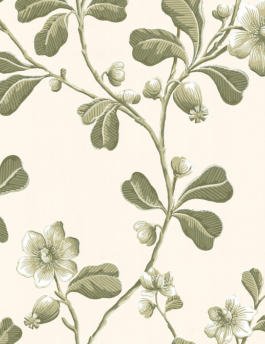 Обои Little Greene London Wallpapers IV 0277BRGARDE