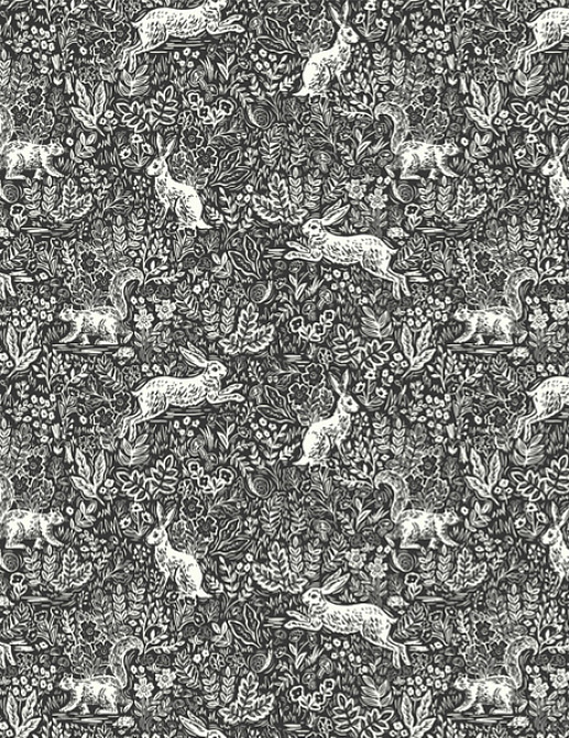 Обои York Rifle Paper Co RI5105