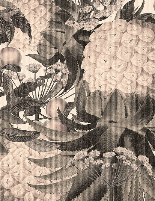 Панно и фотообои Co.De Book 1 C3203