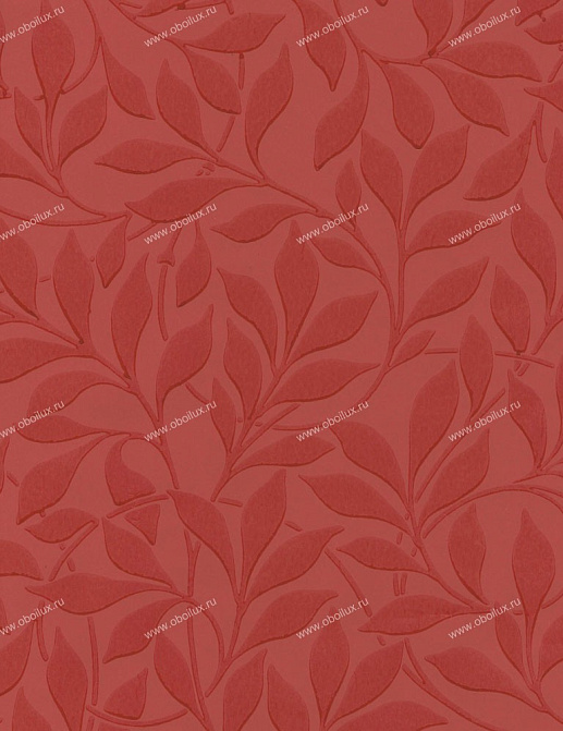 Обои Cole & Son Charlie Wilson 80/1002