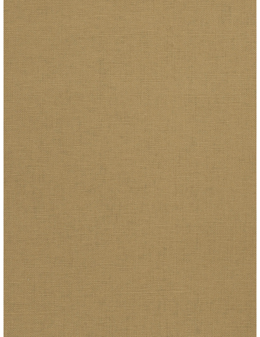 Ткань Trend Terra Cotta Cinnamon Prints & Wovens Vol.II 01838/Wheat
