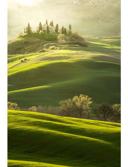 Панно и фотообои Affresco Фрески и фотообои ID13443